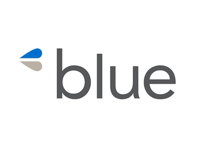 Blue and Company